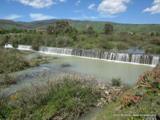 Torrente Saracena